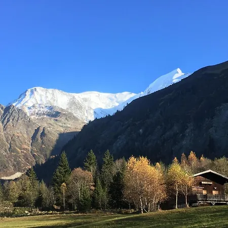 L'aiguille *